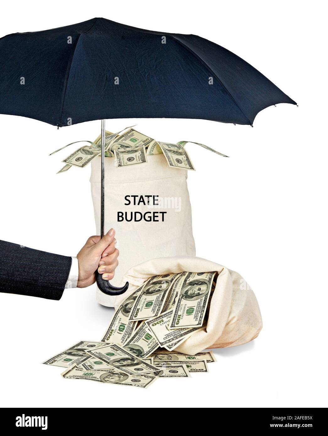 Borsa con il bilancio dello stato Foto Stock