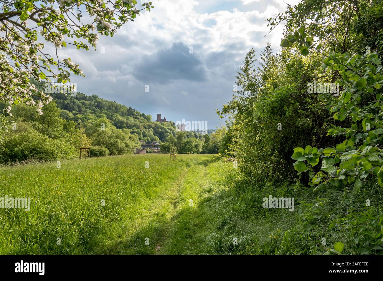 Il vecchio castello sulla città di Wertheim in Germania Foto Stock