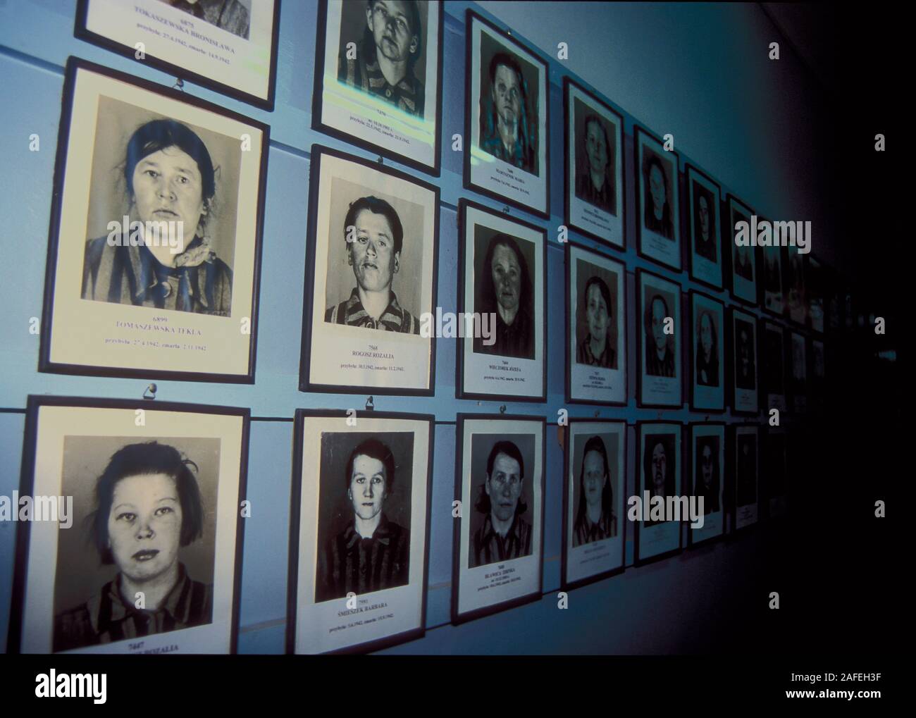 Nei corridoi di Auschwitz ho hag i ritratti di quelle vittime dell'Olocausto che hanno perso le loro vite in Auschwitz. La durata media della vita era inferiore a 3 Foto Stock