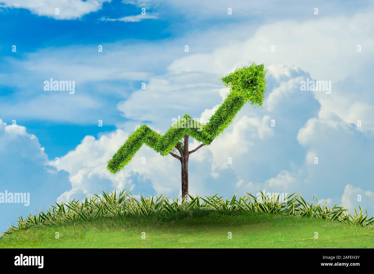 La crescita aziendale. L'albero cresce in una forma, rivolto verso l'alto i concetti di business finanziario la crescita. Foto Stock