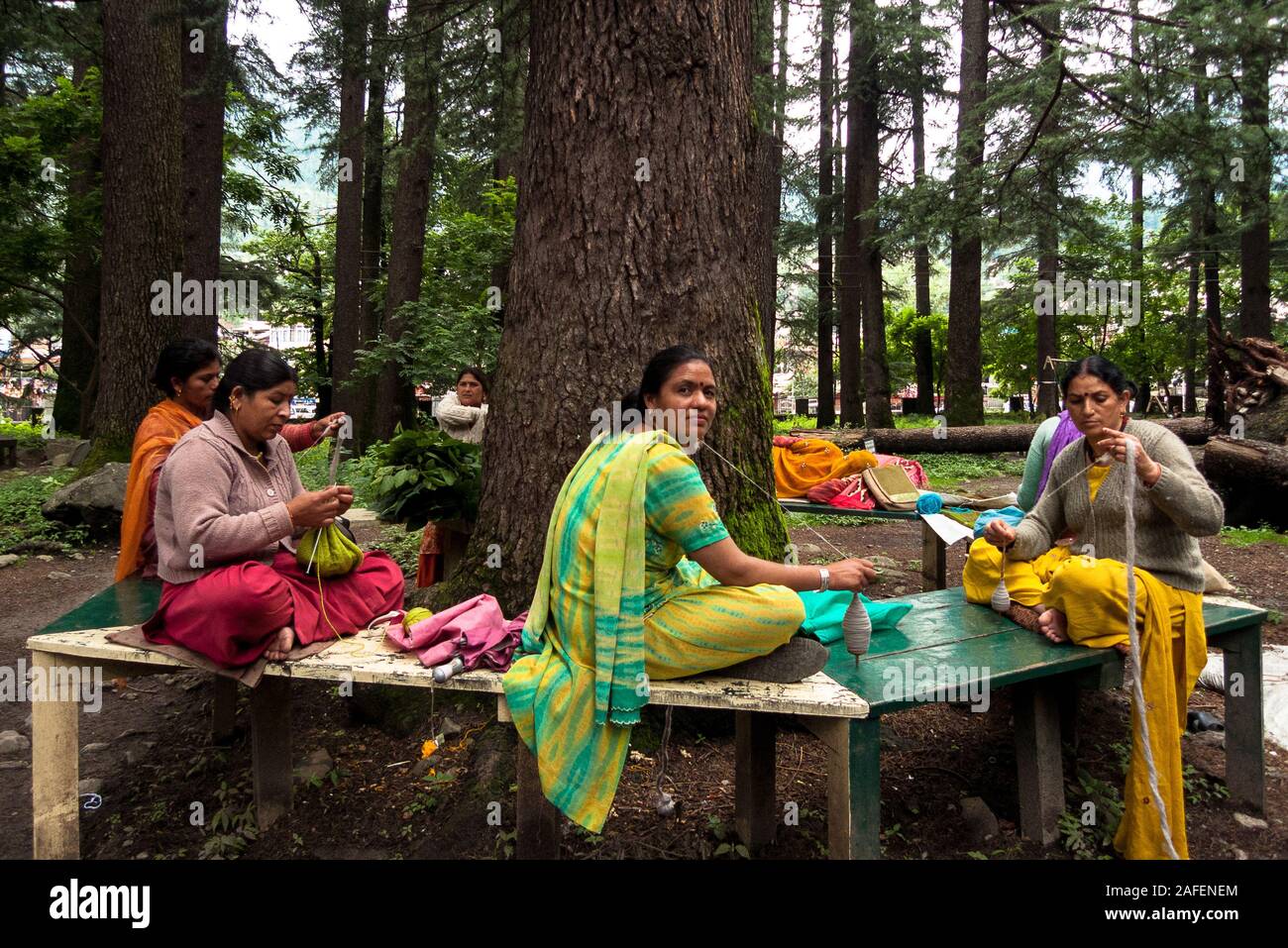 Manali, Himachal Pradesh, India: un gruppo di donne indiane tessere un gomitolo di lana seduta su una panchina ai piedi di un albero Foto Stock