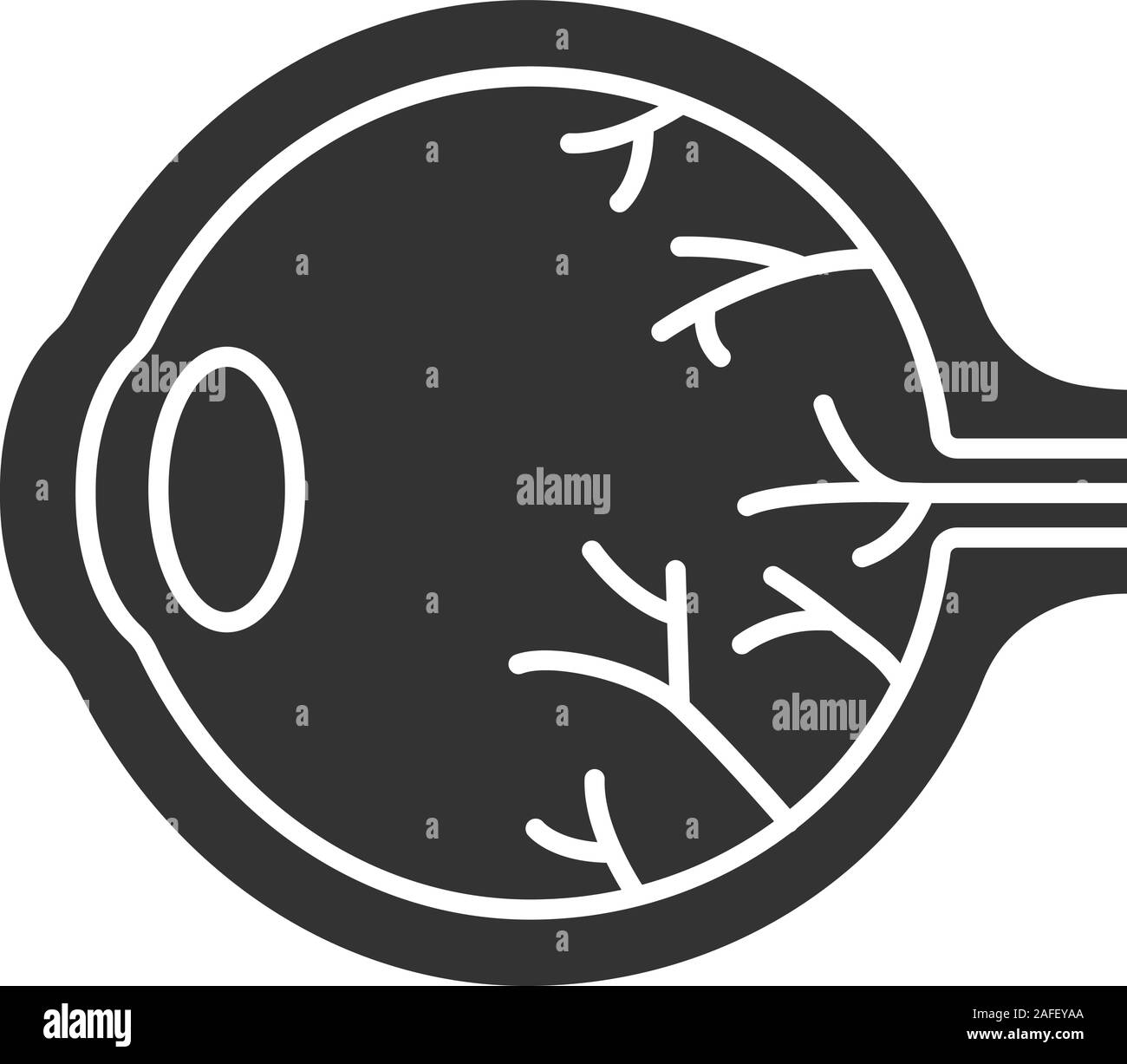 Occhio anatomia icona glyph. Mal di occhio. Simbolo di Silhouette. Lo spazio negativo. Vettore illustrazione isolato Illustrazione Vettoriale