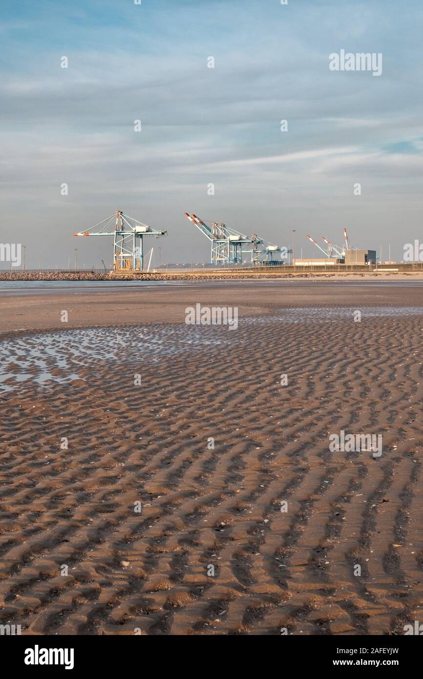 Le gru del porto di Zeebrugge visto dalla spiaggia Foto Stock