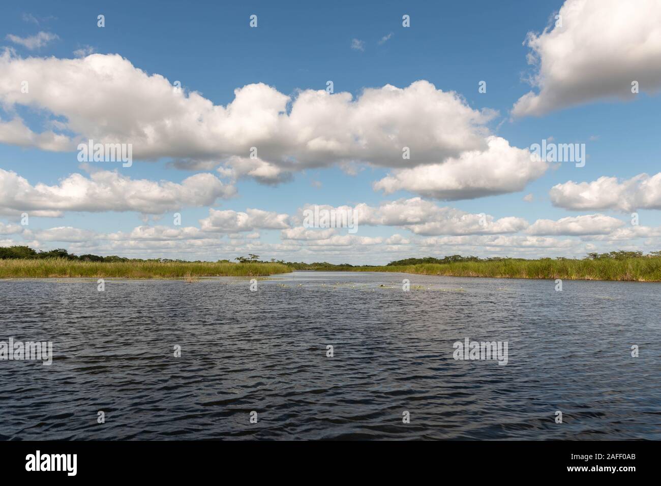 Una bellissima vista del cielo blu con nuvole cumulus e nuovo River si trova in passeggiata Orange county nel nord del Belize appena ad est di Maya Templi di Foto Stock