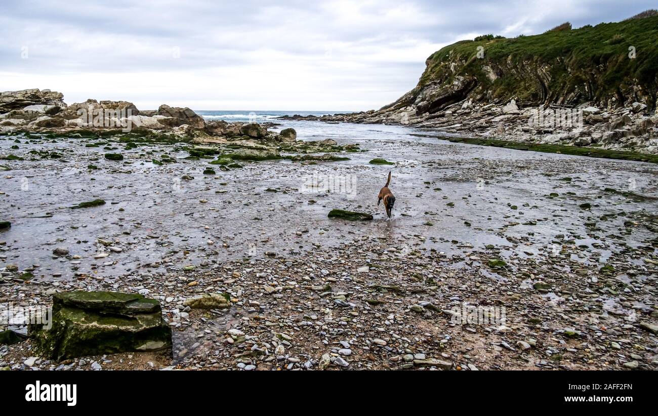 Haïzabia, Hendaye, Pyrénées-Atlantiques, Francia Foto Stock