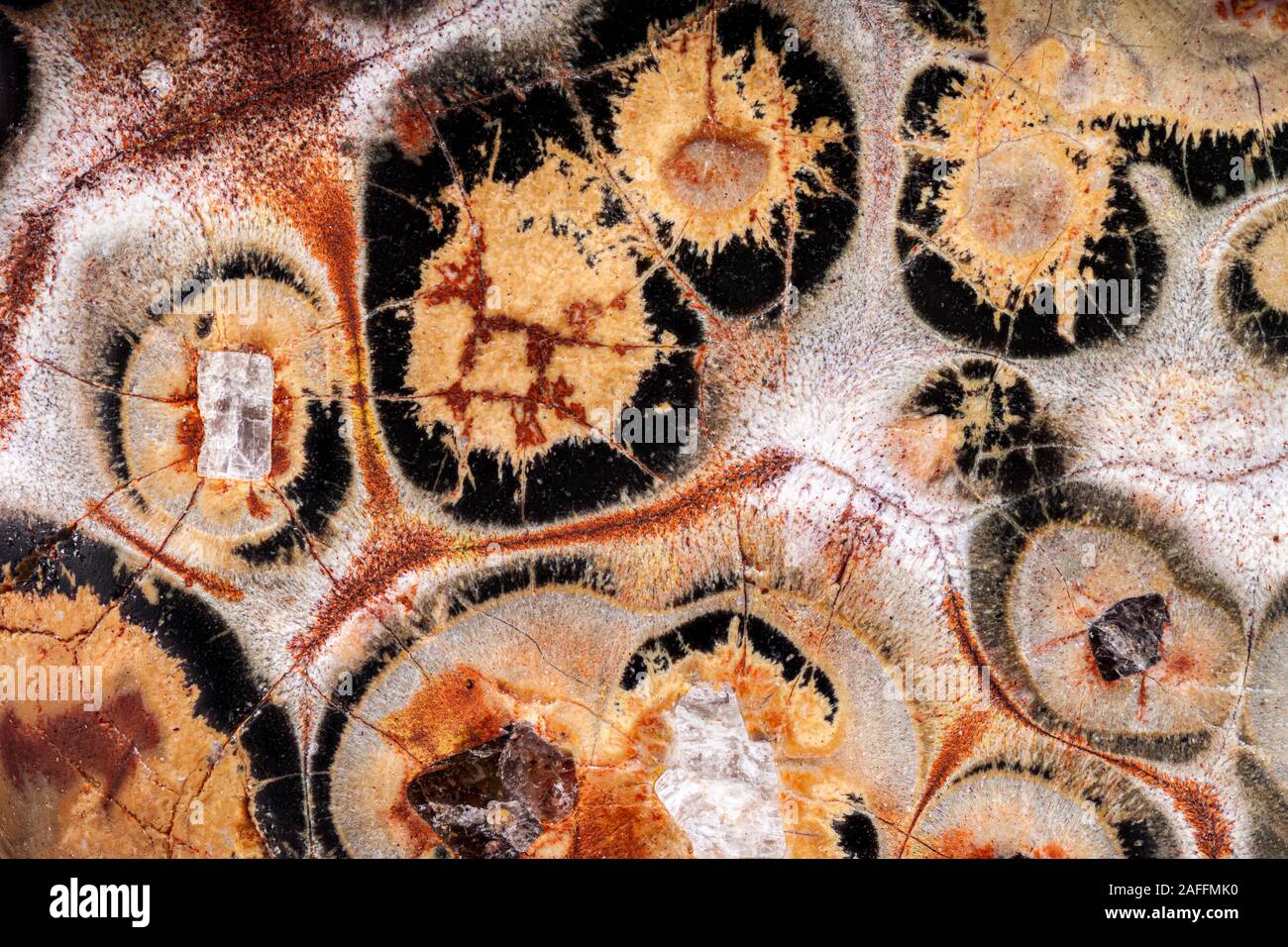 Macro Exteme di Leopardskin Jasper superficie. Foto Stock