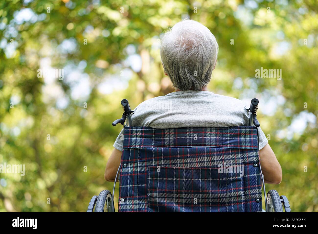 Vista posteriore di asian senior uomo seduto all'aperto nella sedia a rotelle cercando il gemito Foto Stock