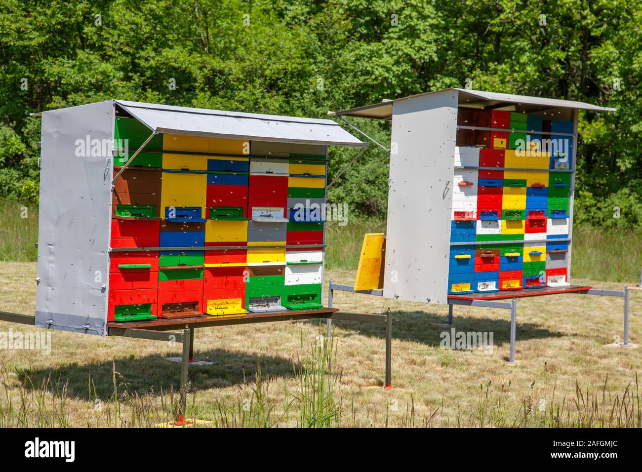 Due variopinti apiario colorate sul prato di fronte alla foresta, soleggiato e in uno sciame di api Foto Stock