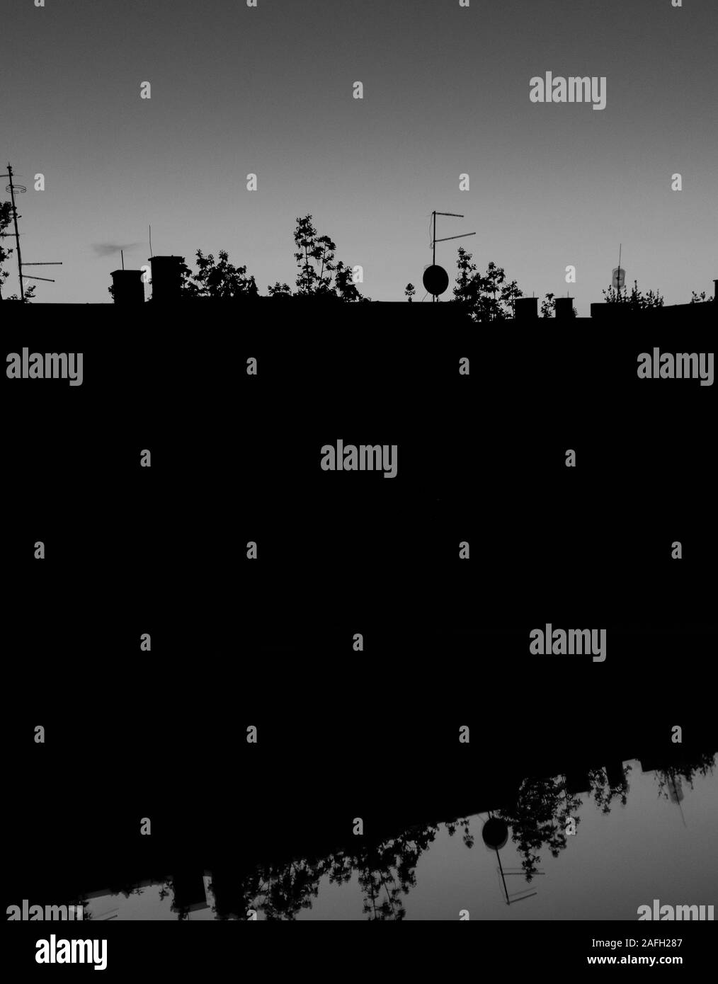 Immagine in scala di grigi di un lago con il riflesso dell'ambiente circostante fili e alberi Foto Stock