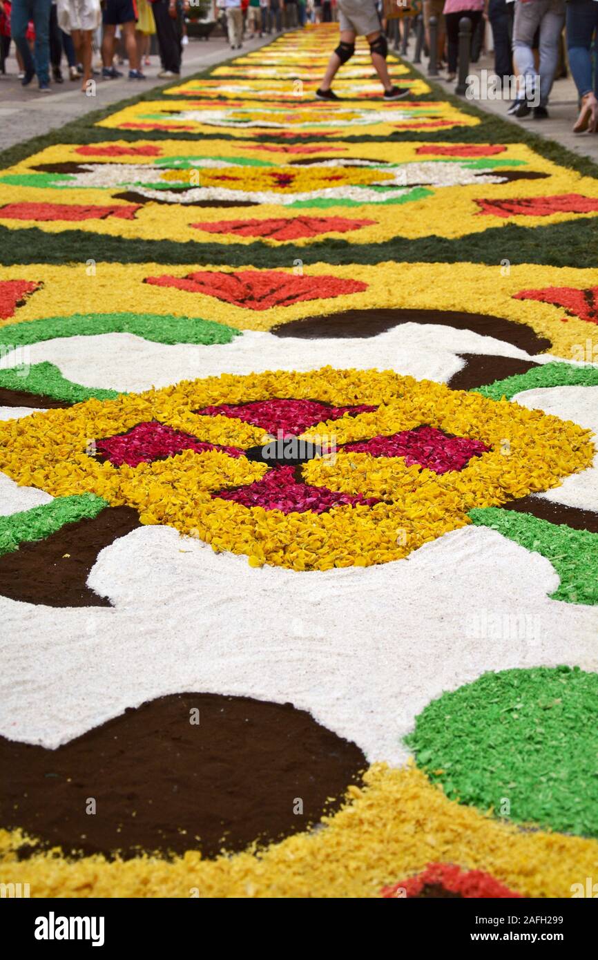 Street decorato con fiori al Corpus Christi festival Foto Stock