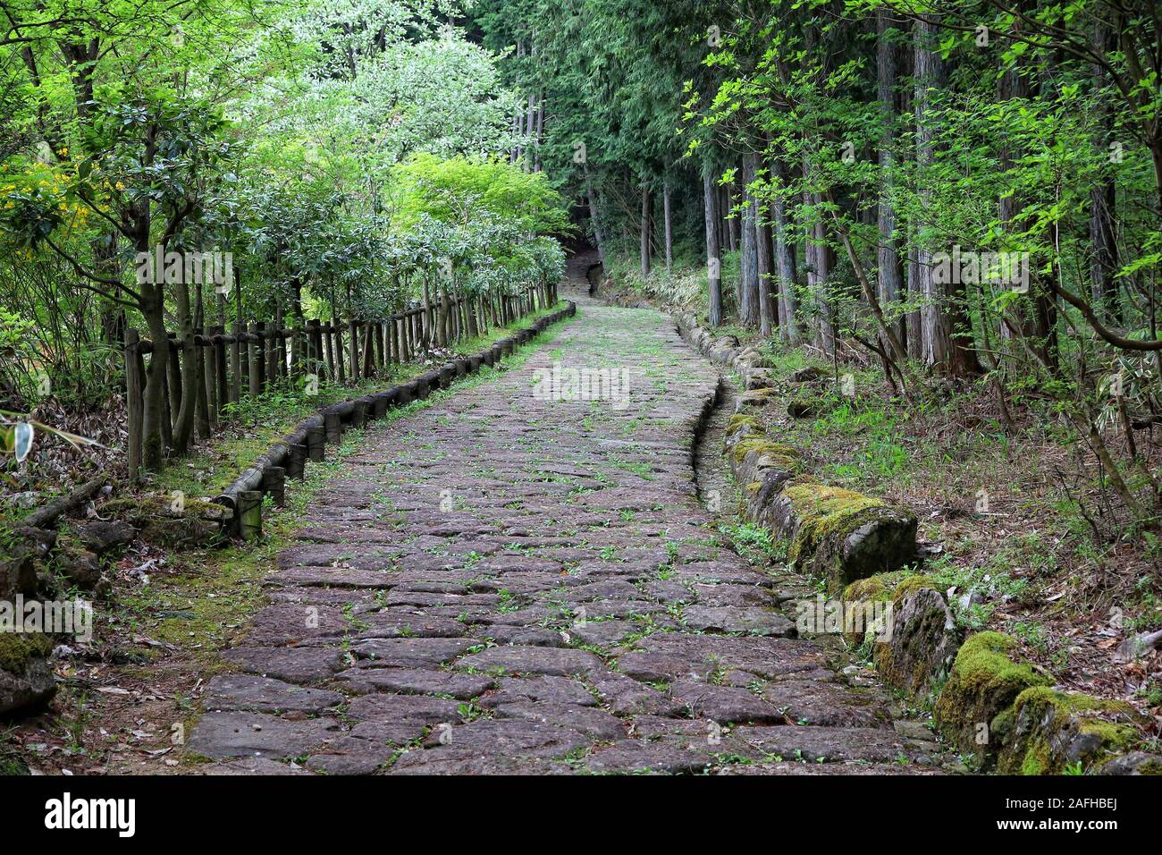 Giappone - storico sentiero Nakasendo nei pressi di Magome. Il vecchio percorso di viaggio di centinaia di anni. Foto Stock