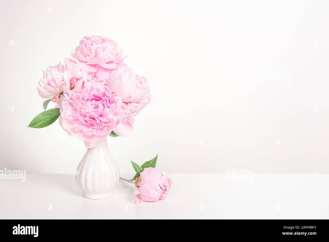 Rosa peonia in fiore fiori in un vaso di bianco in un bianco still-life interno con spazio per la copia Foto Stock