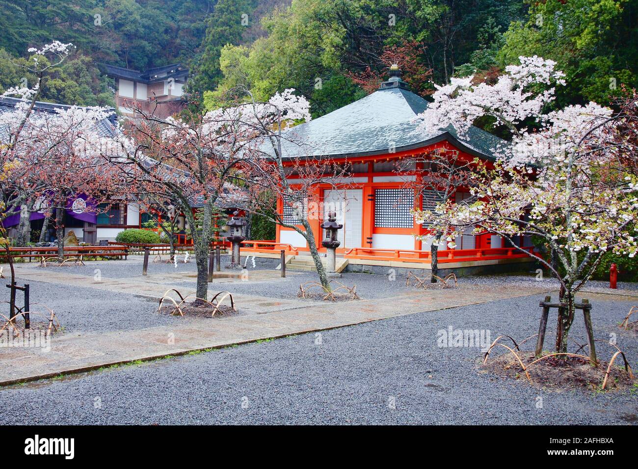 Piovosa Tempio Kurama e fiore di ciliegio in Kyoto, Giappone. Luogo buddista del culto. Foto Stock