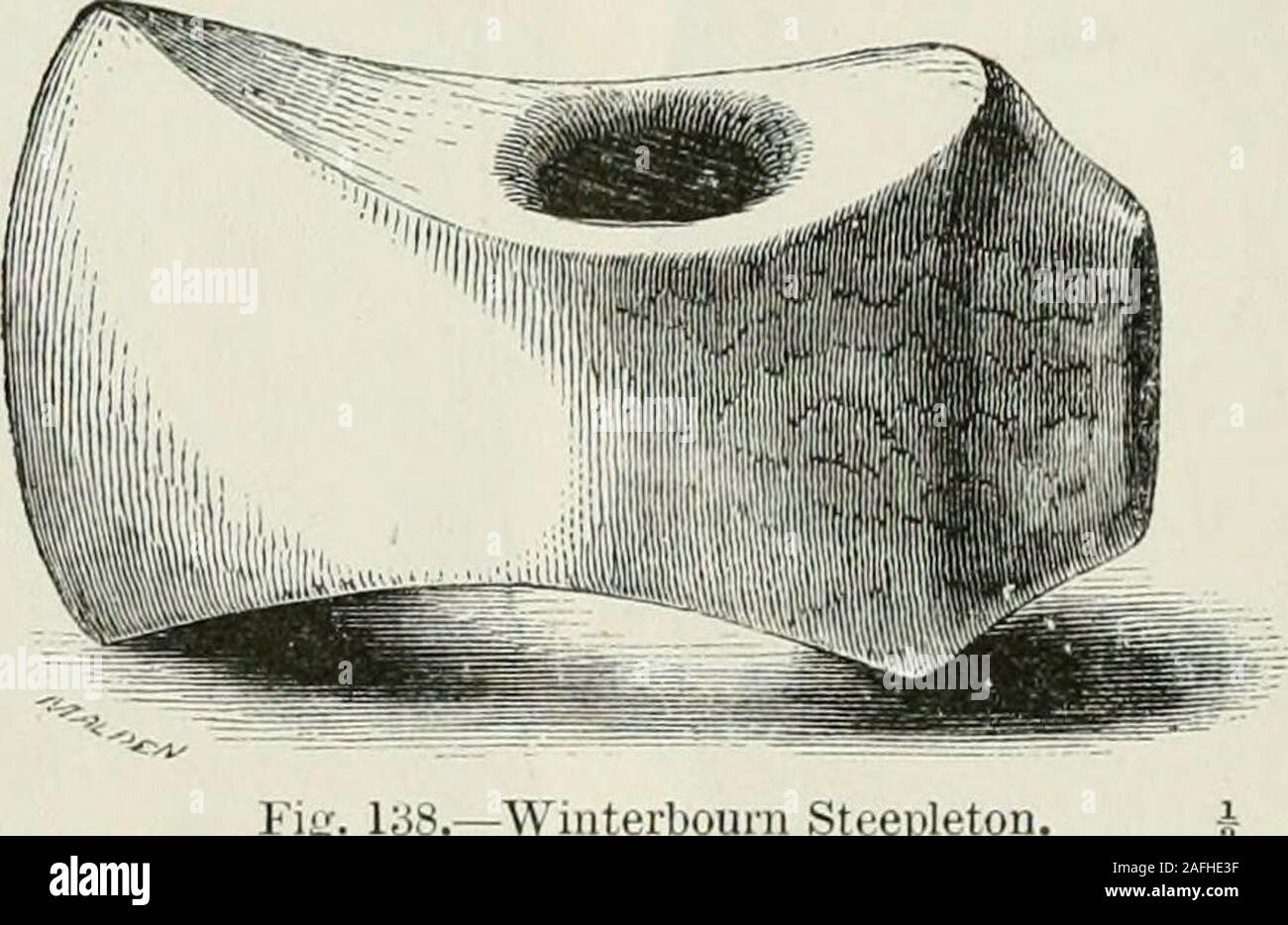 . Gli antichi attrezzi di pietra, armi e oggetti di ornamento, di Gran Bretagna. pietra, circa 4 pollici di lunghezza, è stata trovata dal sig. CharlesWarne, F.S.A., in una carriola a Winterbourn Steepleton, vicino a Dorchester,associati con ossa bruciate. Egli ha dato una figura*, in cui,dalla sua bontà, io qui riprodurre come Fig. 138. Un estremamente simile esemplare trovato vicino Claughton Hall, Garstang,Lancashire, è inciso nella Arelu/olui/ical Juiirnal.i è detto tohave è stata trovata in una cassa di legno, insieme con un ferro da stiro ax, spear-testa,spada e martello, nel taglio attraverso un tumulo nel 1822. Si deve, tuttavia, essere un Foto Stock