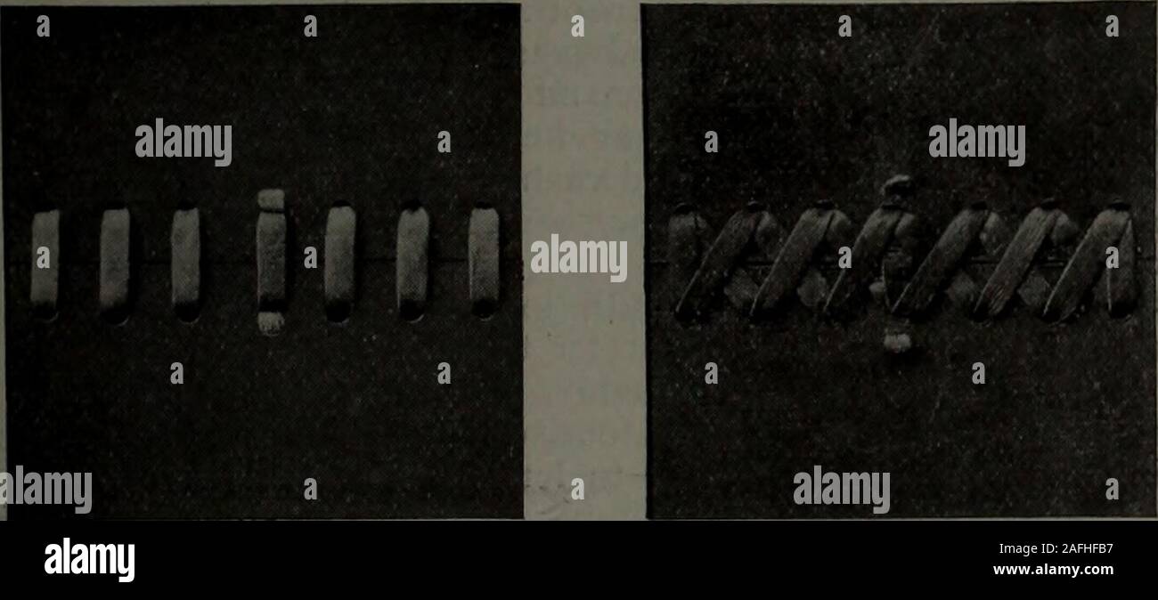 . Canadian Forest industries Gennaio-Giugno 1914. La Cerniera laccio guarda uguali su entrambi i lati e dà molto duttile giunti. cinghia, fino attraverso n. 5, in basso attraverso n. 2, fino attraverso n. 5, downbetween termina ancora. Mettere il merletto n. 2 verso il basso attraverso il foro n. 8, fino attraverso n. 11,giù attraverso n. 8, tra estremità, giù attraverso n. 4, fino essere-tween termina, giù attraverso n. 7, tra estremità, verso il basso attraverso la No.4, fino attraverso n. 1, verso il basso attraverso n. 4, tra estremità verso il basso. La maglia diritta sul grano (sinistra) della carne e i lati della cinghia. attraverso n. 7, fino attraverso n. 10, giù attraverso n. 7. Fino betweenends, giù attraverso Foto Stock