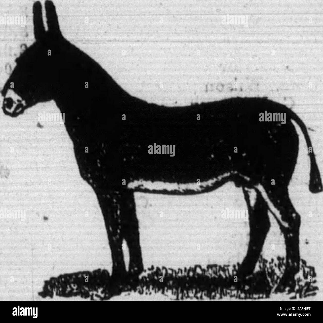 . Contea di Boone registratore. 0 livellatrice Buffalo Co. 1,63 A. J. Winas 93.32 A. H. Smith 203.00 Alfred Jones 12.75 Herman Wingate 12.50 Fred Richey 12.50 Henry Webb 6.25 S. C. Garnet 18.76 Joe Hanaro 10.00 C T. Easton 75.00 C H. Youell 800.00 Quigley 4k Beemon 270.00 Jake Cook 27.00 E. L. Stephens 119.00 E. A. Concessione 36.00 Lloyd Weaver 1.26 Ed. Driscoll 15.00 Ferro Standard W. Co . 28.10 R. C. liuti 80.00 R. C. liuti 10.00 Rue Wingate 12.60 M. C. Rouse 18.00 W. J. Hryan 12.60 Joe Berkshire 18,50 Giovanni giovenco 2.60 Giovanni Earla 8,60 Perry Oaborne 10.85 H. W. Rouse 6.00 BrvU WhlU 6,85 Chester fasdestea 10.0 Foto Stock