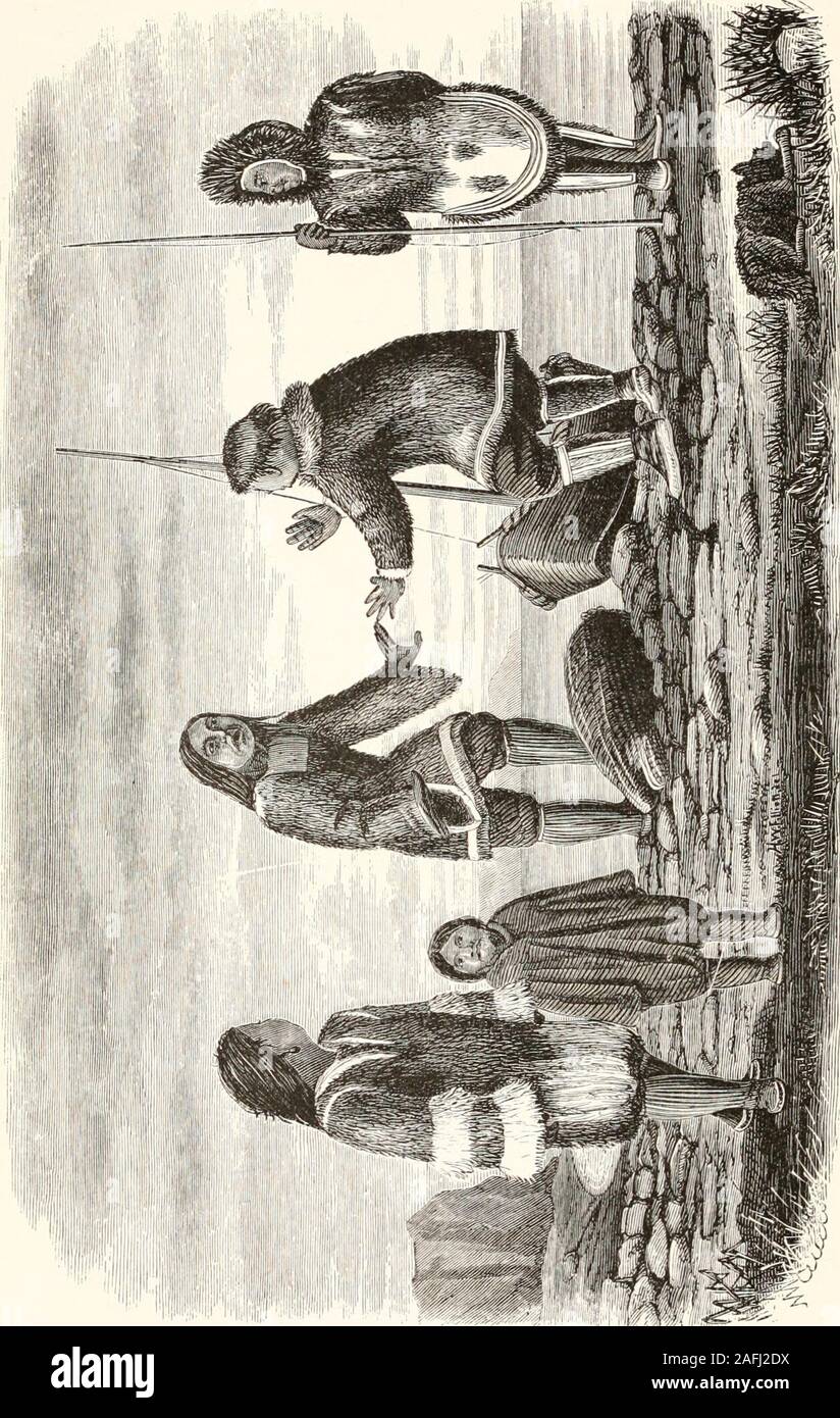 . L'Alaska e le sue risorse. obable che essa è diventata, dalla costante inter-corso, permanentemente miscelato con Chukchee parole. Venendo da un paese dove il driftwood era abbondante, a adistrict dove è molto scarso, modificazioni sono state necessaryin il modo di vita del Tiiski, di cui abbiamo, come alreadyshown, alcuni record storico. Attualmente il metodo di con-structing le loro case, slitte, e molti altri articoli, è verysimilar, pur non essendo del tutto identica con la modalità della Chiik-formaggi. Essi non hanno la renna, tuttavia, e usare i cani a drawtheir slitte. Le case di villeggiatura della Foto Stock