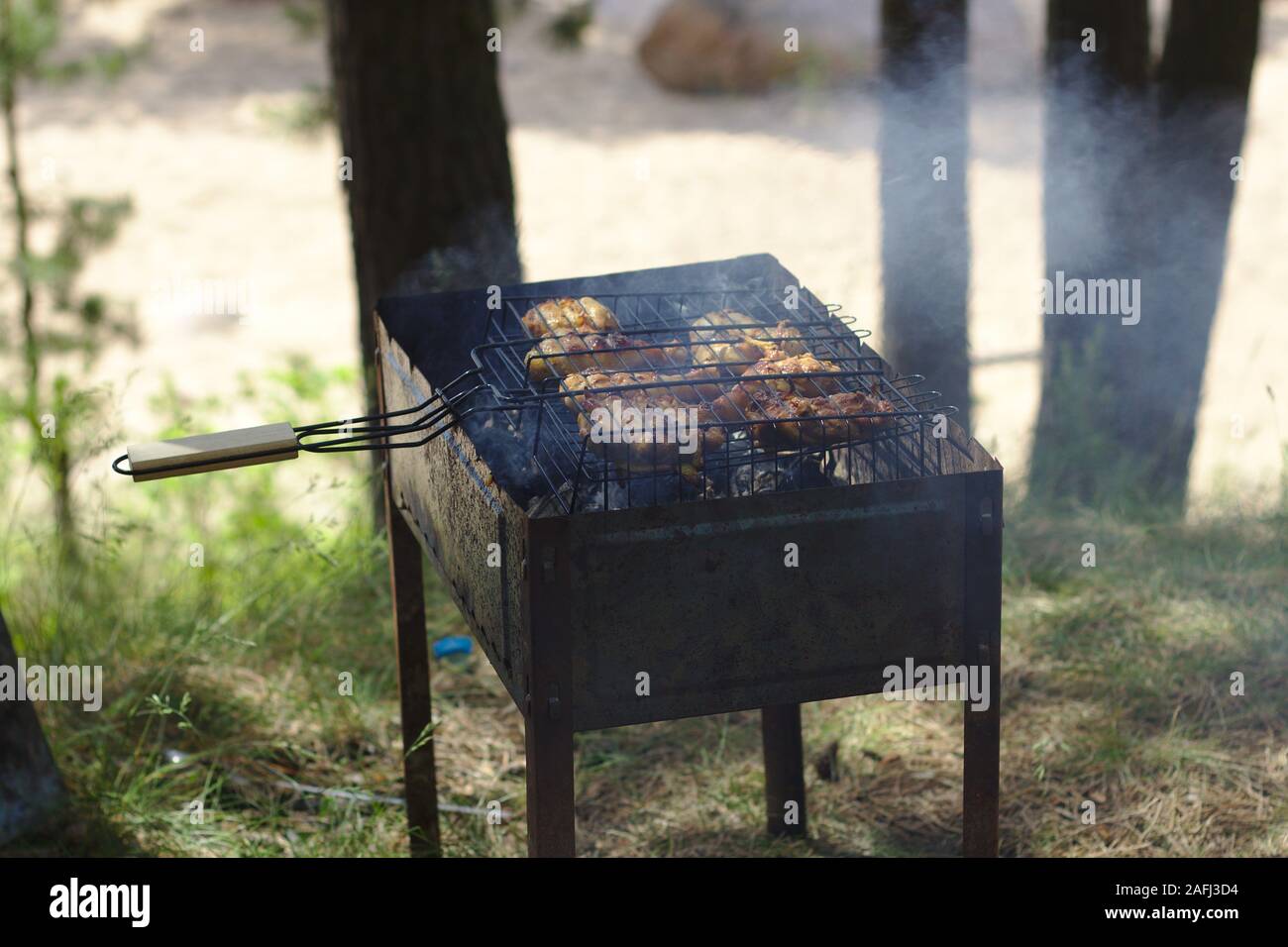 Carne cruda sul braizer nella foresta su spiedino Foto Stock