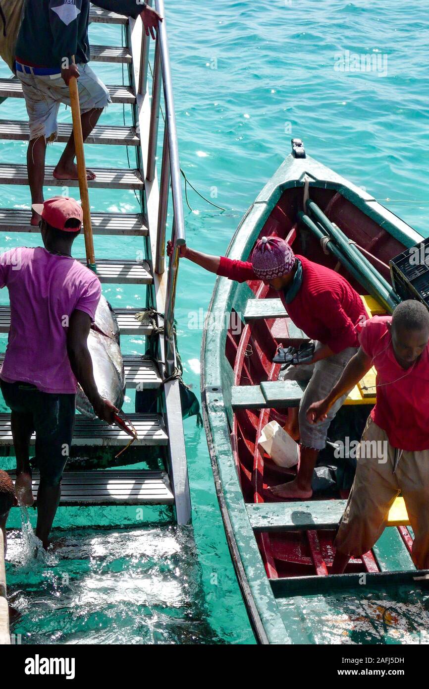 Santa Maria, Sal /Isole di Capo Verde - 19. Novembre, 2015: i pescatori africani di ritorno con la cattura di tonno fresco alla porta sul Capo Verde Isola di S Foto Stock