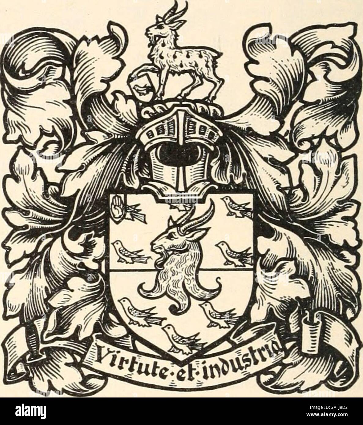 . Armorial famiglie : una directory di colleghi di coat-corazza. O. Salop]. y?". - 34 Mapperley Road, Nottingham. Yr. Figlio di William Booker di Nottingham, b. 1800; d. 1861; m. 1825, Eliza, d. di John Foster :-Robert Booker, gentiluomo, b. 1837; m. 1870, Emily d.di William Stevenson ; e ha un problema-William Uoi glas Daus. e co-eredi di Thomas William Booker,Esq., J.P., D.L., di Velindra, co. Glamorgan(High Sheriff 1865), b. 1830; d. 1887; m. 1861,Caroline Emily [d. 1925), d. di Robert Lindsay ofGlenafon :- Mabel Booker. Res.-Sion, Bridgend, co. Glamorgan. Maria Dulcie, m. Llewellyn Evan-Thomas, t Foto Stock