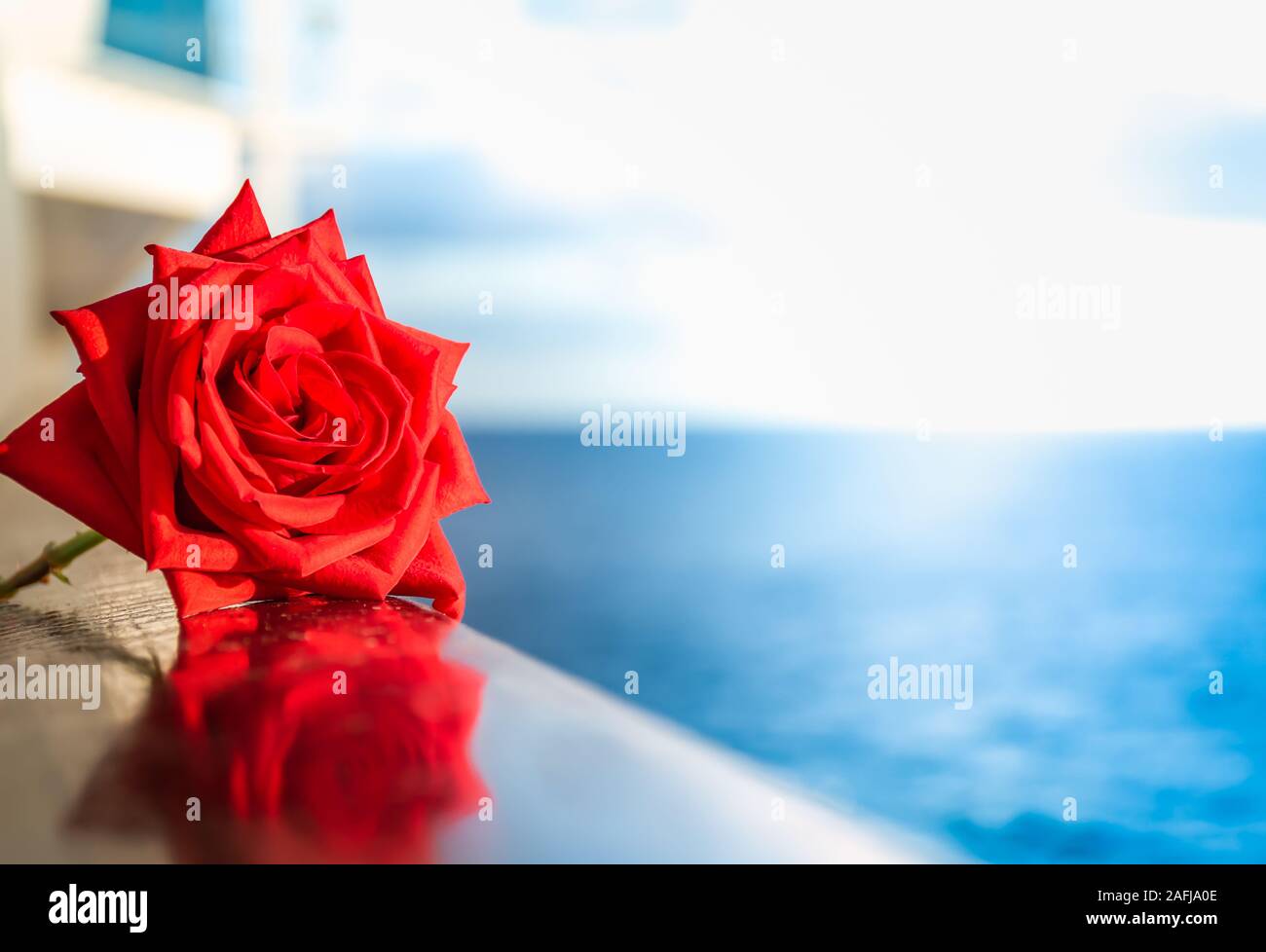 Red Rose su un balcone di una nave da crociera al tramonto. Foto Stock