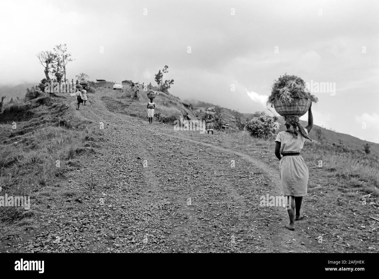 Auf dem Wege zum Markt, weit vom Lande kommend, nach Port-au-Prince, 1967. In rotta verso il mercato a Port au Prince, provenienti da lontano nella campagna 1967. Foto Stock