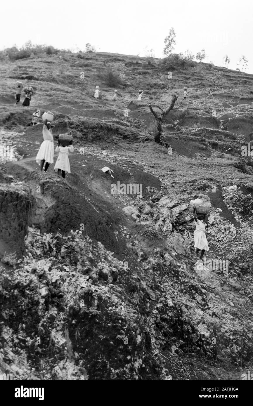 Bergbauern auf Saumpfaden unterwegs nach Markt a Port-au-Prince, 1967. Gli agricoltori di montagna in rotta nel mercato a Port au Prince attraverso percorsi briglia, 1967. Foto Stock