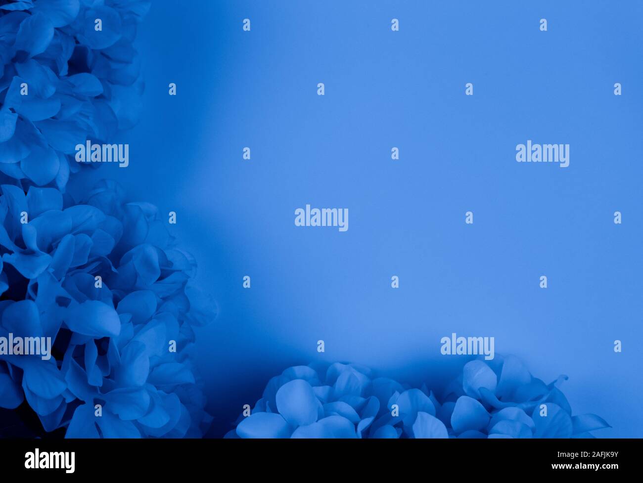 Cornice di fiori nella trendy classico colore blu con copia spazio per il testo. Foto Stock