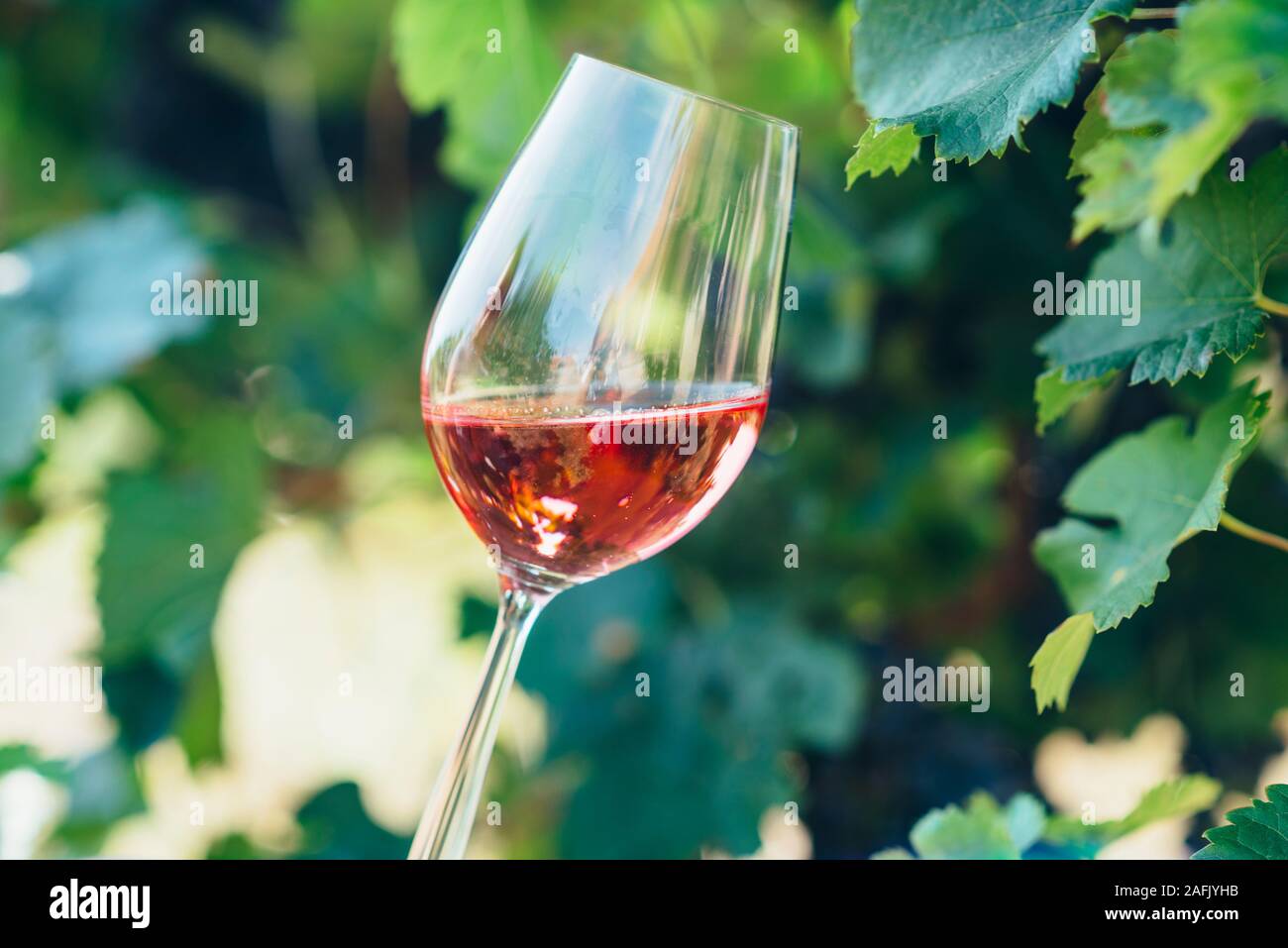 Uomo con un bicchiere di vino rosso nel campo viticolo. Degustazione di vini in cantina all'aperto. La produzione di uva e la vinificazione del concetto. Foto Stock