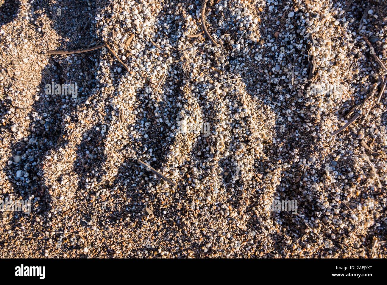 Un sacco di piccoli serbatoi coprire la spiaggia di Bear Lake Utah Foto Stock