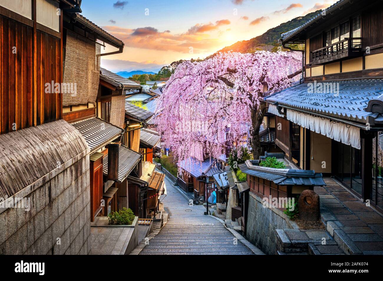 La fioritura dei ciliegi nel periodo primaverile presso lo storico quartiere di Higashiyama, Kyoto in Giappone. Foto Stock