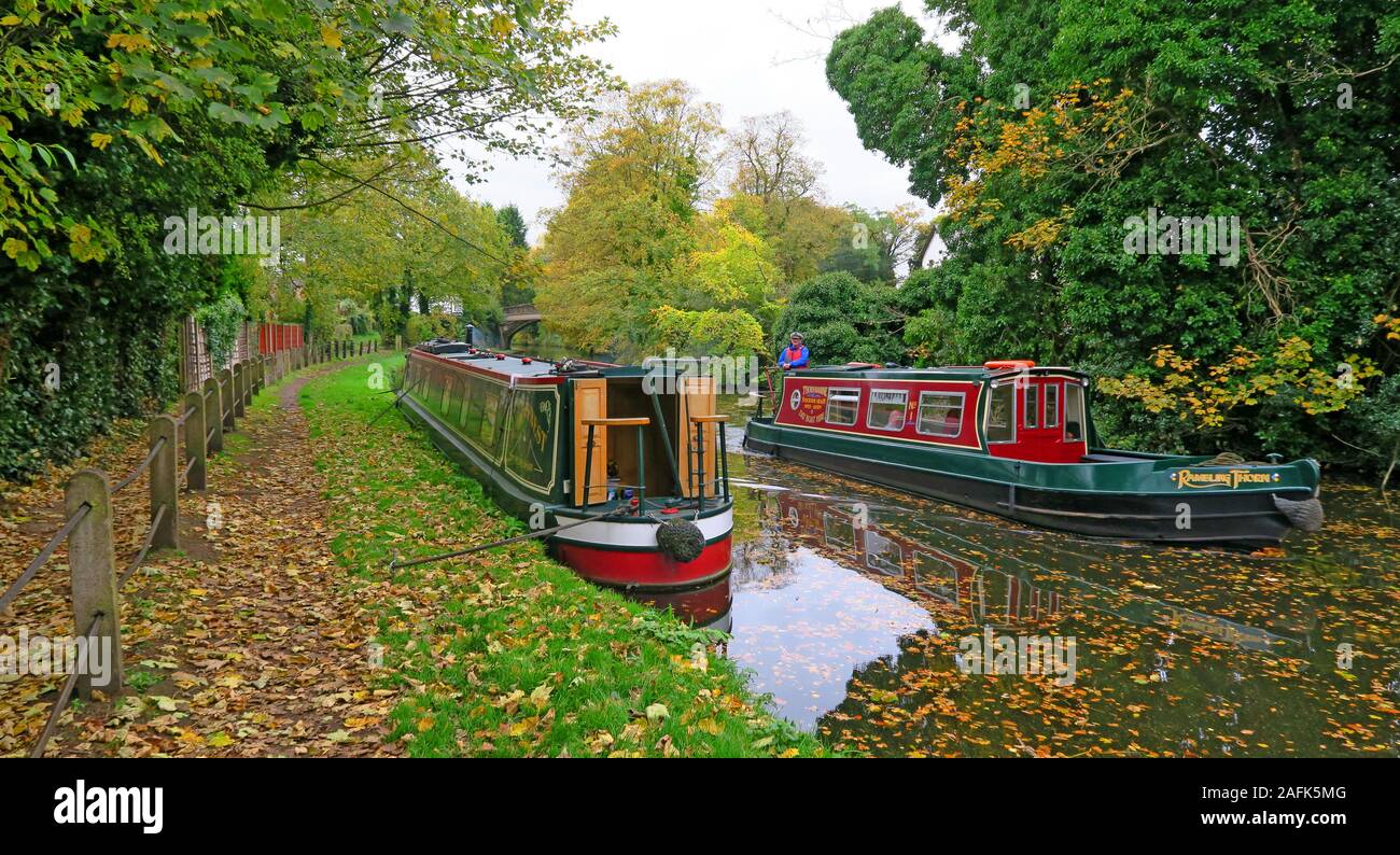 Il canale Bridgewater in autunno, Grappenhall Village, chiatta ormeggiata e un giorno Barca che passa sulla destra, Warrington, Cheshire, Inghilterra, Regno Unito, WA4 2SJ Foto Stock