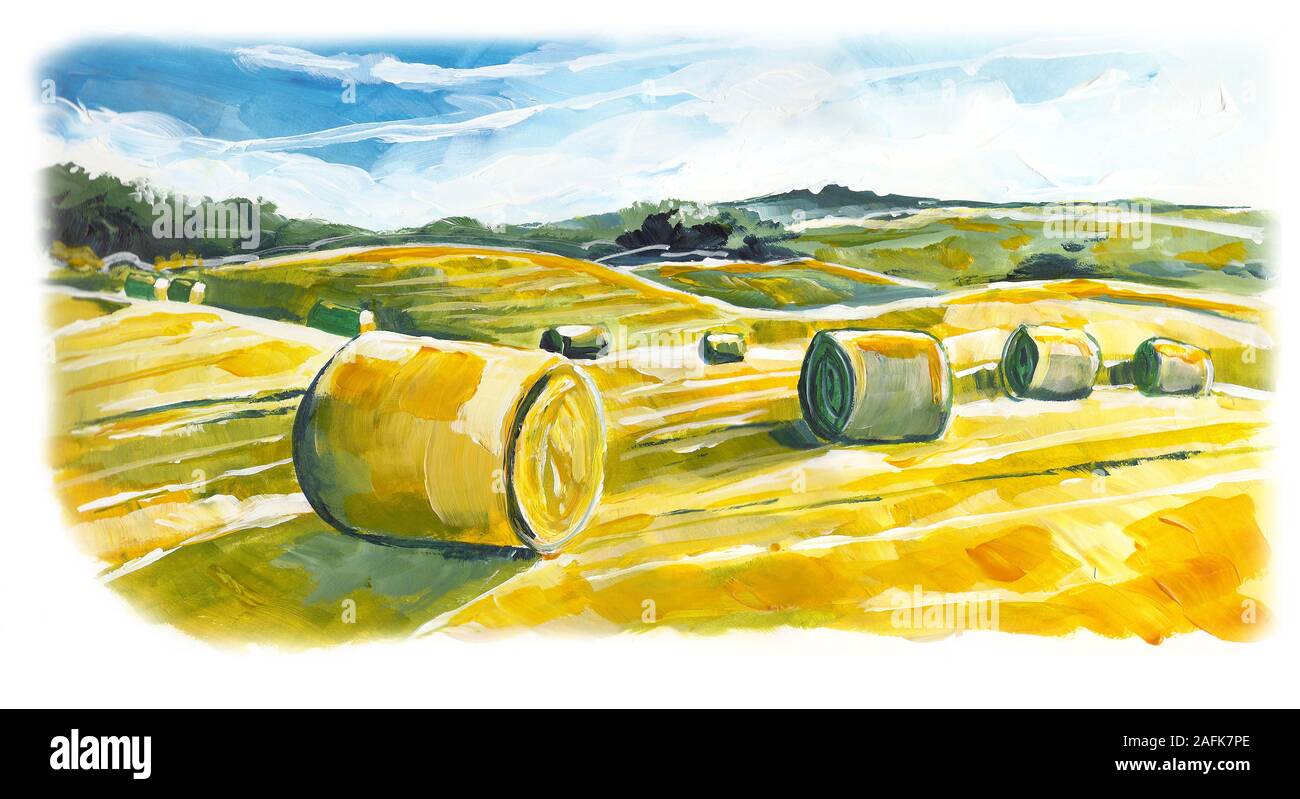 Balle di fieno nel campo Foto Stock