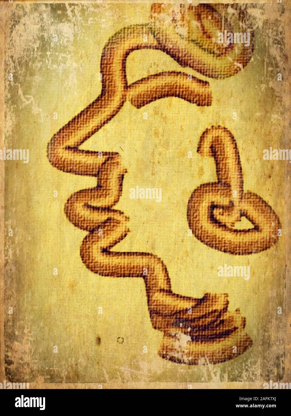 Disegno tribale Foto Stock