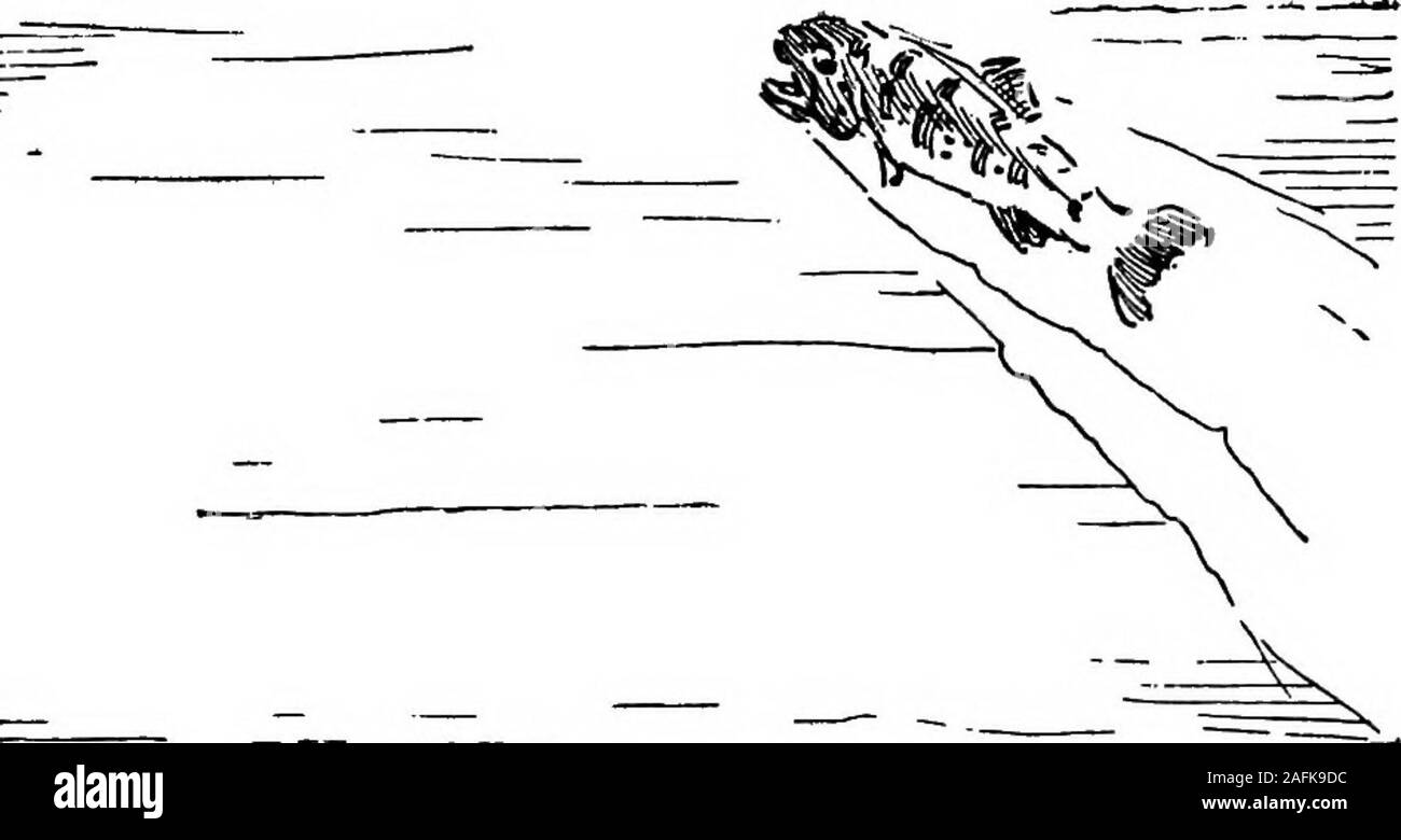 . Giorni in aperta. sui cespugli che crescono in angoli thefence lungo la West road. Abbiamo utilizzato il metodo tostring su Timoteo steli come siamo venuti homefrom a scuola e non avevo mai assaggiato uno qualsiasi di tali berriessince. La testimonianza è il tramite con la sua testimonianza andwell sottoporre il caso alla giuria senza argomento.Che cosa dite, padri e madri di famiglia della città?Sono i vostri figli hanno la possibilità di imparare naturessecrets di prima mano? Sarà possibile dare loro qualche volta nel aperto ogni anno, dove il lavoro di manhas non piegata a gomito il lavoro di Dio in un angolo andout di vista? In più, vi aiuterà a inviare thechildren del poo Foto Stock