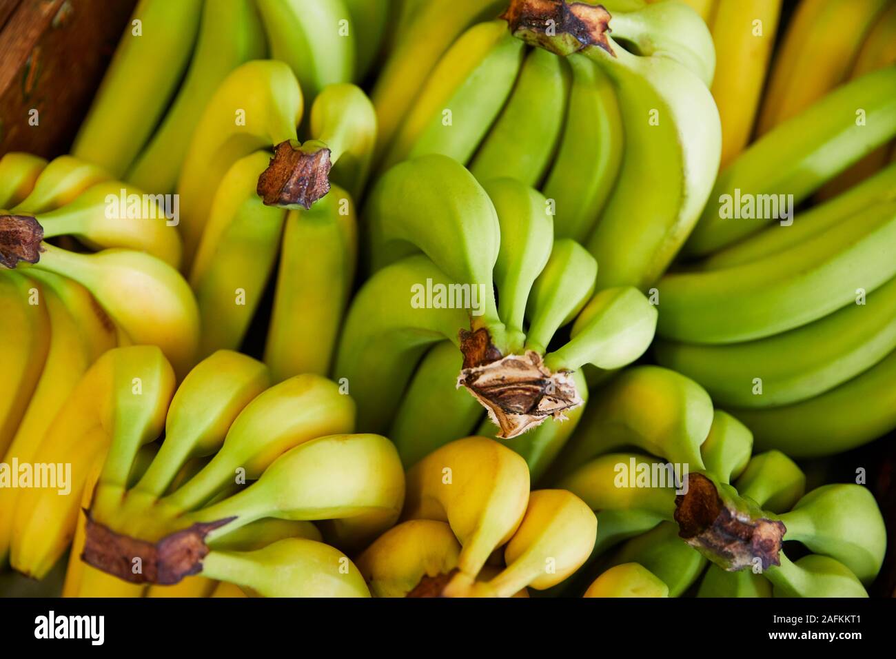 Full Frame Shot di banane fresche visualizzati in azienda agricola biologica Shop Foto Stock
