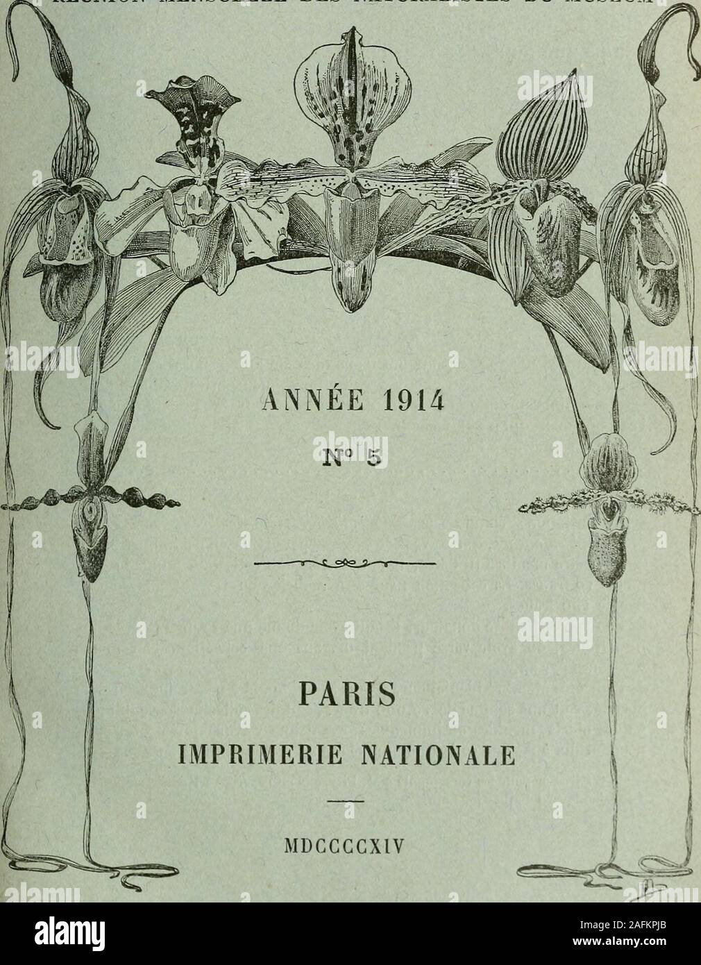 . Bulletin du Muséum National d'histoire Naturelle. e estivale de1913. [Fig.] 2i5 - Onu nouveau Paraperipatus de Ceram 222 H. Desbordes. Liste des Histeiidoe recueillis dans TOgooué ( Congo français)de 1910 à 1913, par M. R. Ellenberger, et description de deuxespèces nouvelles 227 Maurice pic. Nouveaux exotiques Malachides des Collections du Muséum de Paris 2 31 L. Chopard. Sur lorigine de Tachycines asynamorus Adelung 234 Ch. Gravier. 2e antarctique Expédition française (1908-1910). - Sur une espèce nouvelle de Madréporaire (Desmophyllum antarcticum) 236 Éd. Lamy. Note sur les espèces du genr Foto Stock