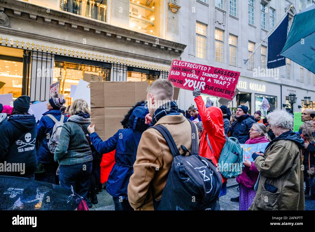 Anti fur protesta per i diritti degli animali manifestanti, Dolce e Gabbana boutique, negozio, negozio, London, England, Regno Unito Foto Stock