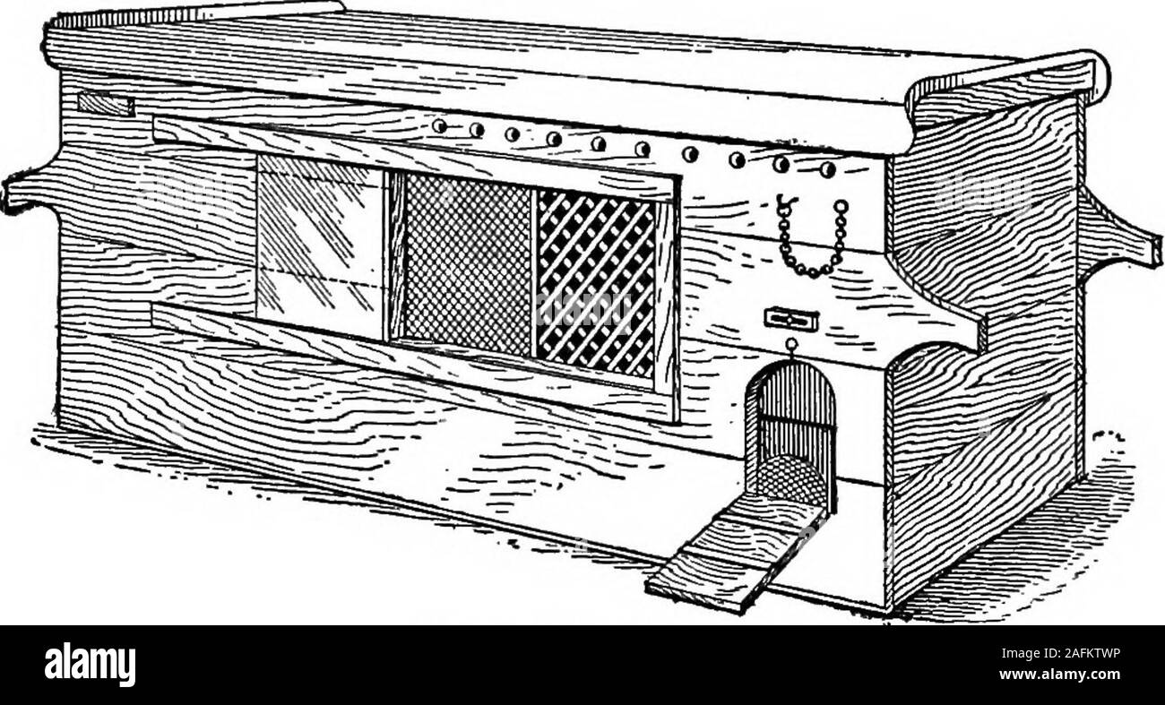 . Lo standard dell'enciclopedia della moderna agricoltura ed economia rurale, dai più illustri autorità e specialisti sotto la direzione del professor R. Patrick Wright ... Fig. 2.-Hearsons adottivo madre posseduta dal chiocce in cui lampsare collocata nel vano del sonno è thatthey sono più economici, ma il denaro risparmiato sul theoutlay può essere facilmente perso in seguito dalla poorerresults. Appositamente costruiti pollai sono un ne-cessity per allevamento d'inverno. Queste sono grandi e nobili,ben costruito case, diviso in compartimenti,ciascuno contenente una chioccia. La maggior parte con-venient measuremen Foto Stock