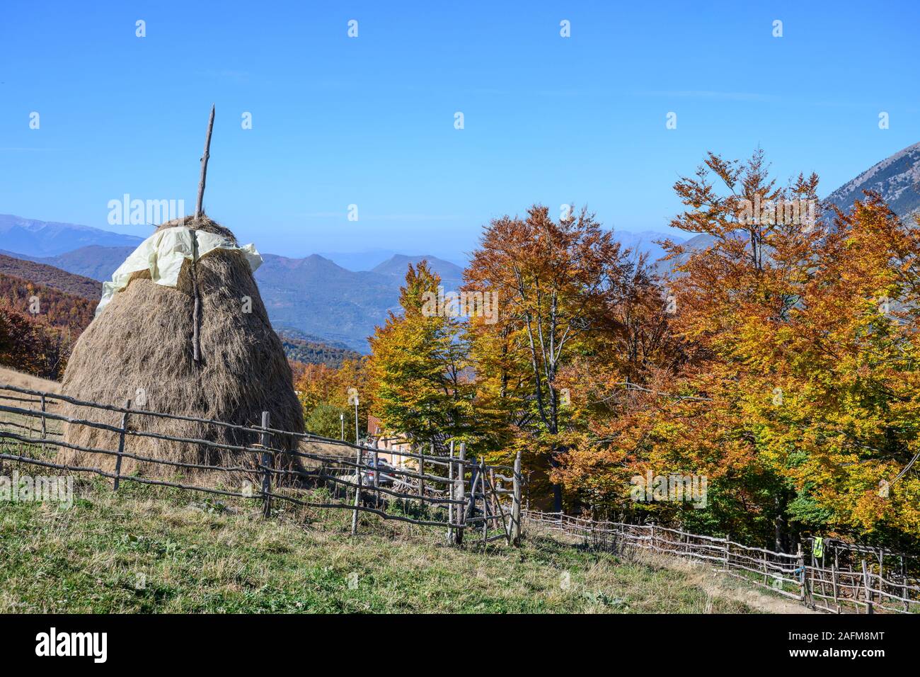 Autunno in Sharr Mountain National Park vicino Prevalla, al di sopra di Prizren, Kosovo, centrale Balcani. Foto Stock