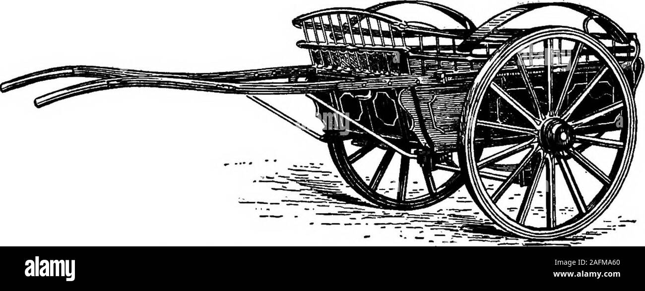 . Lo standard dell'enciclopedia della moderna agricoltura ed economia rurale, dai più illustri autorità e specialisti sotto la direzione del professor R. Patrick Wright ... Fig. 4.-Balis galleggiante per il latte ani scopi generali di equilibrio non è così importante come per la circum-orientamenti testé accennato a. Carrelli di latte sono solitamente realizzati con piegate axlesto permettono una bassa corpo, per facilitare &e caricamento di "rf cartucce - Caryophyllaceae 125 lattine pesanti e buona molle sono necessarie perevitare che, indebita agitazione. Luce galleggianti, o basso-bpdied caj^a, aye conveniente per trasporto heavymater^al^ distante stetjons; questi sono Foto Stock