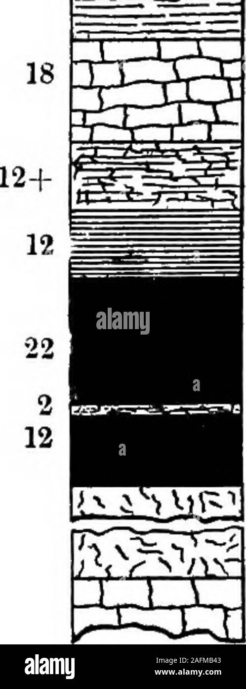. [Relazioni vol. I-XIII]. Calcare, duro, grigio. (Cap rock.), scisto argilloso, grigio, fossiliferi, C zolla di terreno.)Shale, nero, fissili. Il carbone. 1 a 3 ^^^^^^ il troncaggio di argilla.10 a 12 ^^^^H di carbone. -UU L  xnrx argilla. Calcare. Maiale. 17. La sezione di carbone bedat Blackbird albero. Il letto sarà lavorato dal pilastro e camera, senza sabbiatura. Il carbone sembra^a^essere duro e non contiene alcuna scivola o anomalie, finora carattere oi del carbone. ^® è stato osservato. Pirite si verifica in strati lenticolari parallelo con la stratificazione e selenite e calcite pellicole sono presenti lungo i luoghi comuni. Questo stesso del carbone è stata scavata a numerosi ot Foto Stock