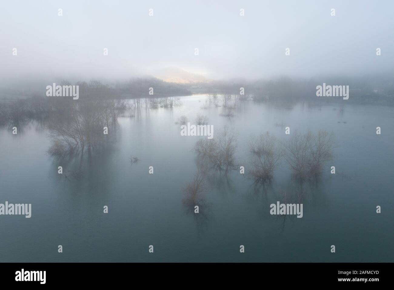 Alberi e nebbia dalla vista aerea Foto Stock