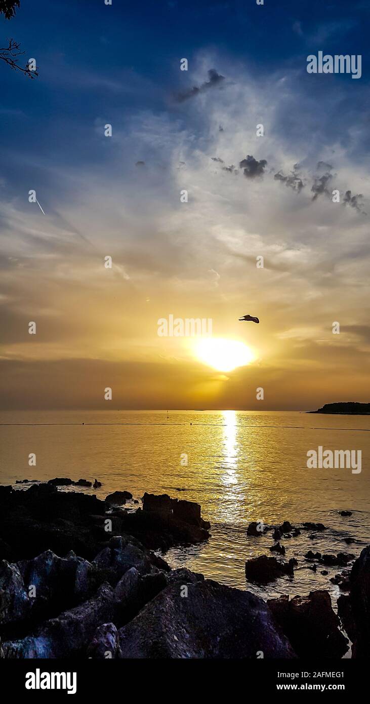 Romantico tramonto da una spiaggia sassosa. Il sole tramonta all'orizzonte. I raggi di sole che riflette nelle calme acque del mare. Un gabbiano attraversano il cielo. La s Foto Stock