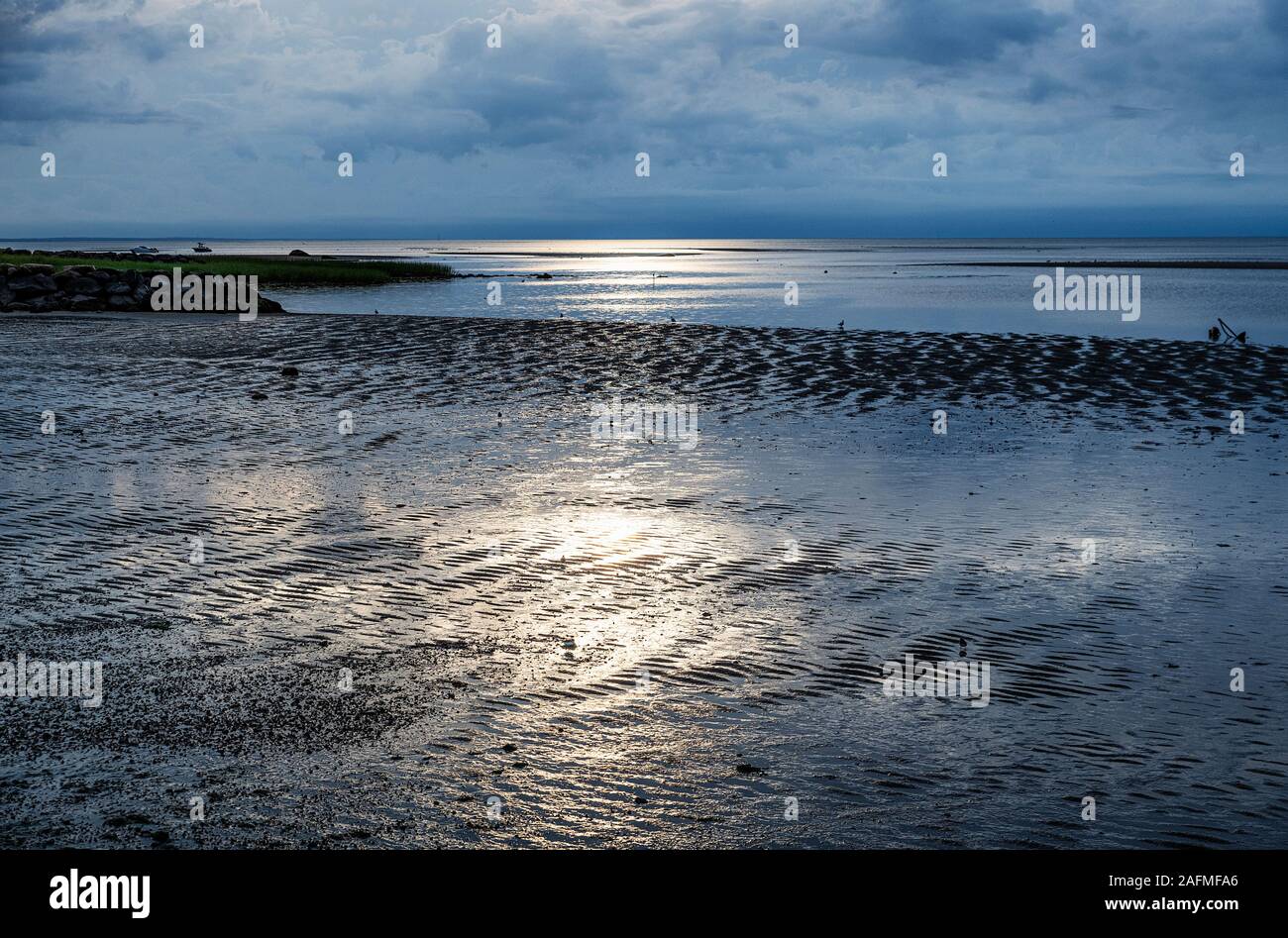 La baia di Cape Cod tidal flats con la bassa marea, Brewster, Cape Cod, Massachusetts, STATI UNITI D'AMERICA. Foto Stock