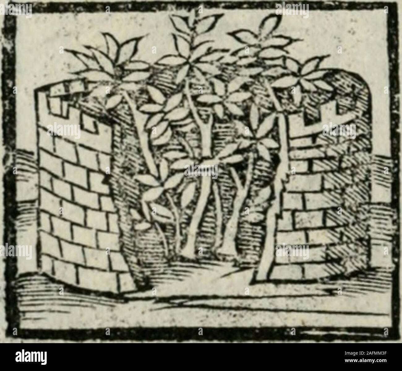 . Viaggio da Venezia al Santo Sepolcro, et al monte Sinai; col dissegno delle città, castelli, ville, chiese, monasterij, isole, porti, & fiumi, che peccato là si ritrouano; et vna breue regola di quanto si dee osseruar nel detto viaggio, e quel che si paga da luoco à luoco, sì di dacij, venite d'altre cose. EE.• Doue la Noflrra Donna lalciò, e ditdc la fi:un Centura :, ouerScaiaìe aliApolcolo di Chrillo S. Toniaib. Chinati NOiandammo circa vn tratto di mano ;,& nellailtefTa via trouammo noi vn campo un ma manca^ 8:aui-iii è la via che va nella Valle di ( jiorafat, erfo il mczo dì,S: lavia verib il Foto Stock