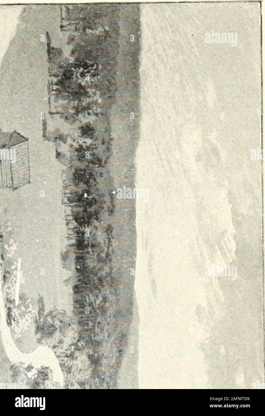 . Marcus Whitman, pathfinder e patriota. , Amongsavages, dà sensazioni che non potrà mai essere conosciuta solo da thosewho sono tali. Potete vedere la nostra situazione. Se mai ci serviva yourprayers e simpatie, è al momento presente. Voi mothersof materna associazioni, permettetemi di mendicare un interesse in yourprayers, specialmente per il tuo indegno sorella, ora che lei hasbecome una madre e per il suo piccolo. Mi sento assolutamente incom-torità per il luogo e se non fosse per la forte mano di theLord, io dovrebbe affondare sotto la responsabilità in appoggio su di me. Uno dei problemi che il medico aveva in un primo momento era che quando h Foto Stock