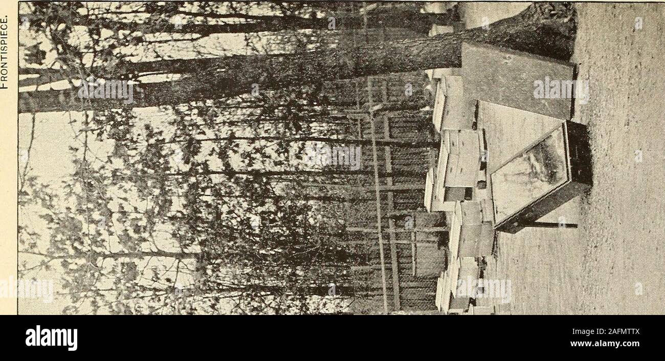 . Il miele delle api: un manuale di istruzione dell'apicoltura. Bee Keepers guida; o manuale dell'apiario. Da A. J. Cook.una moderna Fattoria api e la sua gestione economica. Da S. Simmins. Pubblicato a Londra in Inghilterra.Il beato api. Da John Allen.Apicoltura per profitto. Dal Dr. G. L. tinker. Perni di banco. La American Bee Journal. Settimanalmente. Chicago, 111.spighe nella cultura delle api. Semimonthly. Medina, Ohio.L'Ape i detentori di revisione. Mensile. Selce, Mich.American Bee Keeper. Mensile. Falconer, N. Y.Il progressivo Bee Keeper. Mensile. Higginsville, Mo.Il Southland Regina. Mensile. Beeville, Texas.Il Western Bee Foto Stock