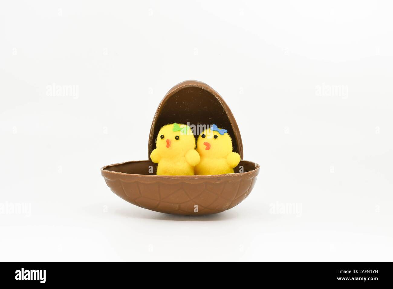 Due piccoli modello di colore giallo pulcini seduto in mezzo al cioccolato uovo di pasqua isolato su sfondo bianco Foto Stock
