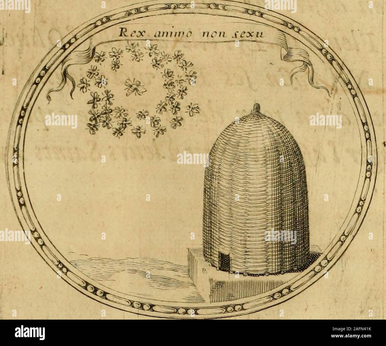 . La gallerie des femmes fortes. a a. SONNET. Lungo DVN rangde Héros Defcendame & Riuale^ïaioufie vn nouueau lujîre à leur vieille fplen-deur;Et des hraue Venere de mon Sexe & du leur^ïen furpaffe les vns & les autres ho égale. Mon humeur obligeante & ma libérale principale ^Dvn Peuple conquérant ont conquejlè le coeur:Sans armes iefçay vaincre & fan forzatore aigreur ^et les Grâces me font vne Garde royale. Il nejlpoint de Stiiets  , il nefipoint d Ennemis ^par tout ou va mon Nom, qui ne me foiem foufmis :La Viâloire un pour moy cefse dejlre tensione. Et pour faire fleurir vn Ejîatfotis mes loix ySi ie no Foto Stock